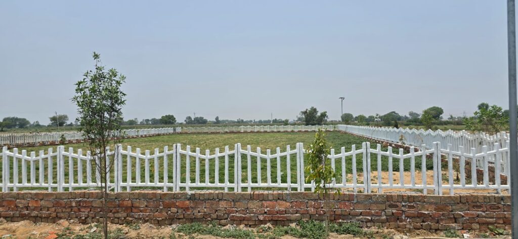 WhatsApp Image 2025-10-25 at 10.50.11 PM (2)