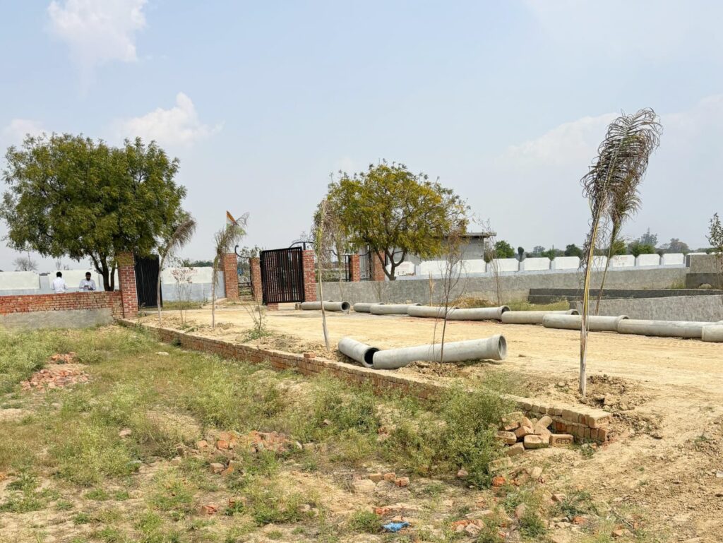 WhatsApp Image 2025-10-25 at 10.55.28 PM (2)